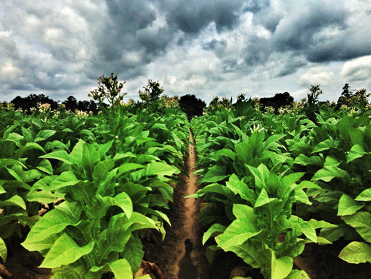 Safe Storage for Ag Chemicals